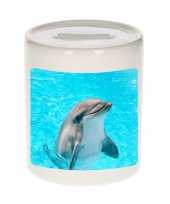 Dieren foto spaarpot dolfijn 9 cm dolfijnen spaarpotten en meisjes