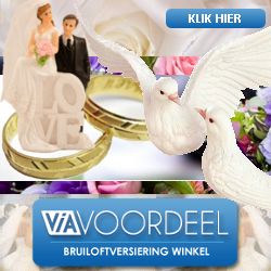 bruiloftversiering-winkel.nl
